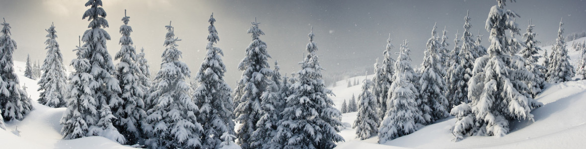 winter
